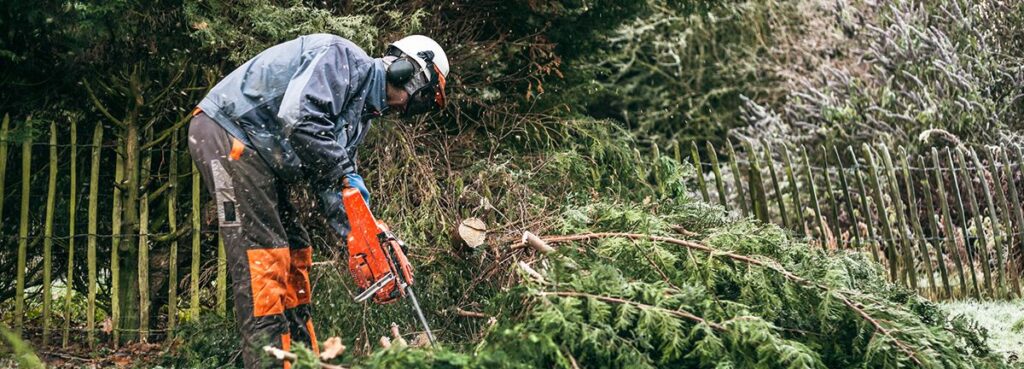 A maintenance man cutting back hedges